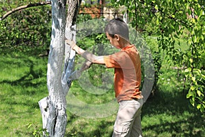 Boy painting tree in garden