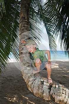 Boy on palm tree