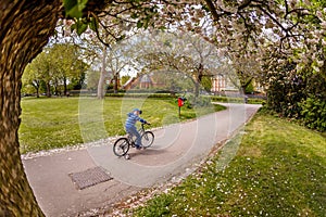 Boy in park on bike