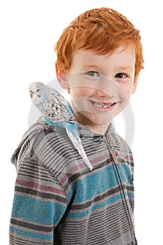 Boy with pet bird budgerigar on shoulder