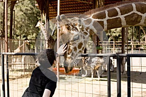 Boy Petting Giraffe photo