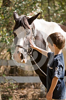 Boy Petting Horse