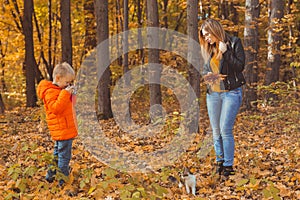 Boy photographer takes pictures of a cat in the park in autumn. Mother looks on this. Pet, photo art and leisure concept