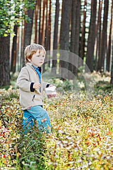 Boy picking berries