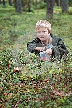 Boy picking berries