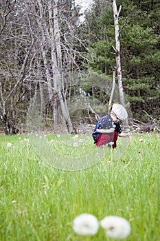 Boy picking dandelions