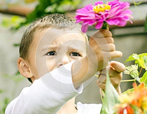 Boy picking flowers