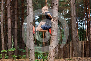 Boy in a pine forest climbed a tree and looks at the camera