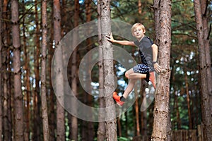 Boy in a pine forest climbed a tree and looks at the camera