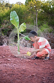 Boy plant tree