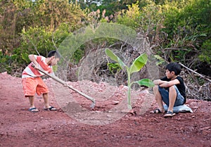 Boy plant tree