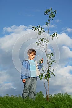 Boy plants the tree