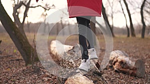 boy play in a forest park. A close-up of a child's feet walking along a log of a fallen tree. happy lifestyle family