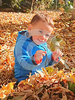 Boy playing in autumn leafs