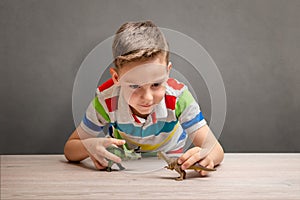 Boy is playing with dinosaurs on desk. Concept of dinosaur obsession