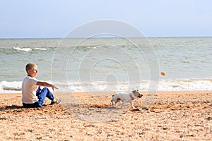 The boy is playing with Dog on the beach