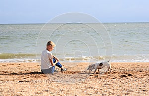 The boy is playing with Dog on the beach