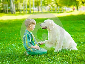 Boy playing with the dog on green grass