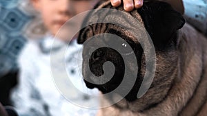 Boy playing with dog in the house on the couch