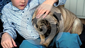 Boy playing with dog in the house on the couch