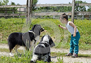 Boy playing with dogs