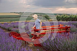 Boy playing in lavender field