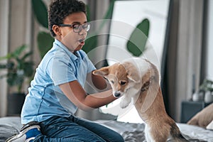 A boy playing with a puppy and looking involved