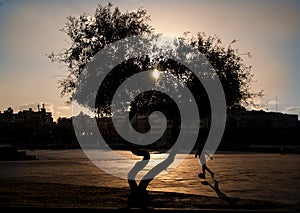 Boy playing soccer at sunset of the day