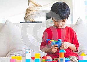 Boy playing Toy blocks in living room