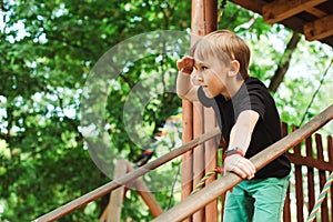 Boy playing in a tree house and looking into the distance. Kid enjoying his time in adventure park on summer day. Summer