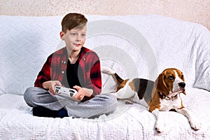 Boy plays a computer game, holds a joystick, sits in a row a puppy beagle and looks like a child playing