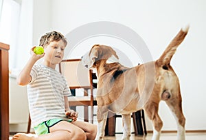 Boy plays with his beagla dog at home