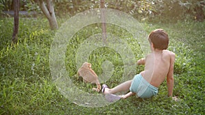 boy plays with Orange Scottish Fold kitten with a branch, on grass in garden