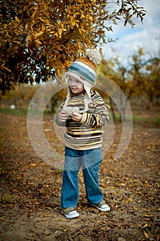 Boy in pomegranate grove