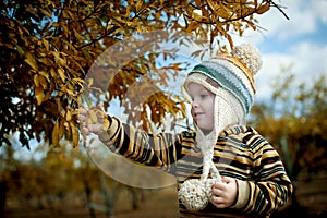 Boy in pomegranate grove