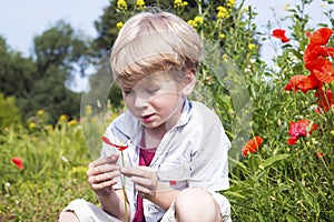 Boy in a poppy field, springtime