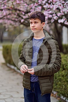 Boy portrait, city outdoor, blooming trees, spring season, flowering time