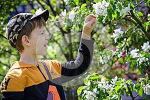 Boy portrait, city outdoor, blooming trees, spring season, flowering time