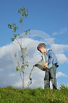 Ragazzo versa sul piantine da un albero secondo Acqua 