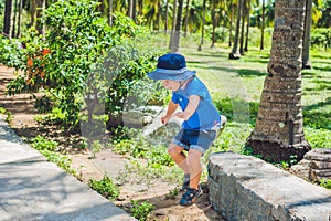 Boy from preschool jumping from stone