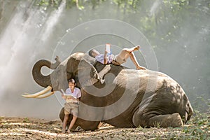 Boy primary school student In the countryside of Thailand Lying down reading a book on the back of an elephant,Surin,Thailand