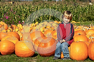 Boy at Pumpkin Patch