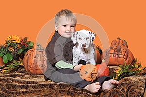 Boy and puppy in Halloween decoration