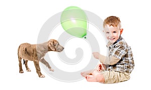 Boy and puppy pitbull