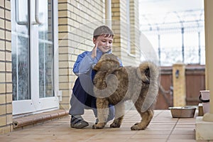 Boy and puppy Tibetan Mastiff