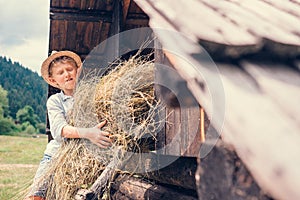 Boy puts the hay in hayloft photo