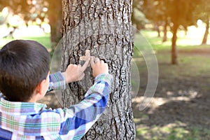 Boy putting a band-aid on a tree trunk