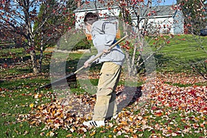 Boy Raking