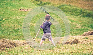 Boy raking dry hay with rake on field