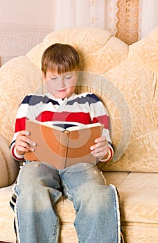 Boy reads book